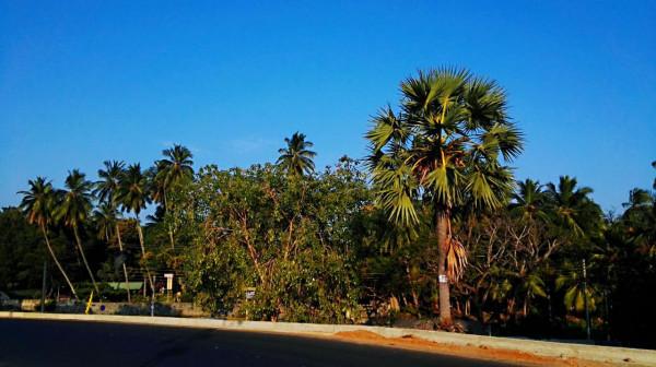 斯里蘭卡之旅(17)蒂瑟默哈拉默 斯里蘭卡之旅(17)蒂瑟默哈拉默