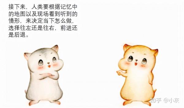 漫畫：什麼是自動駕駛？