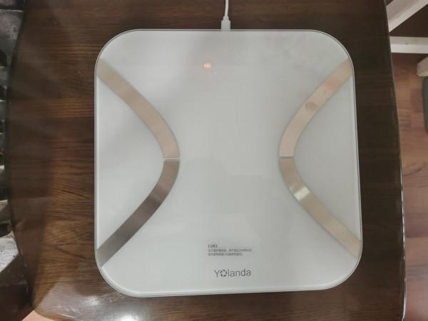 體脂健康看得到：雲康寶CS20E智慧體脂秤