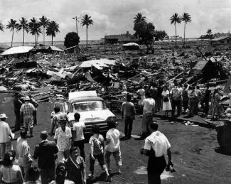 植物&OpenCurlyDoubleQuote;開口&rdquo;，告訴你它經歷的地震