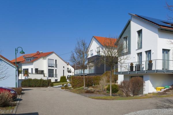 清水河裡那朵蓮（八十九）