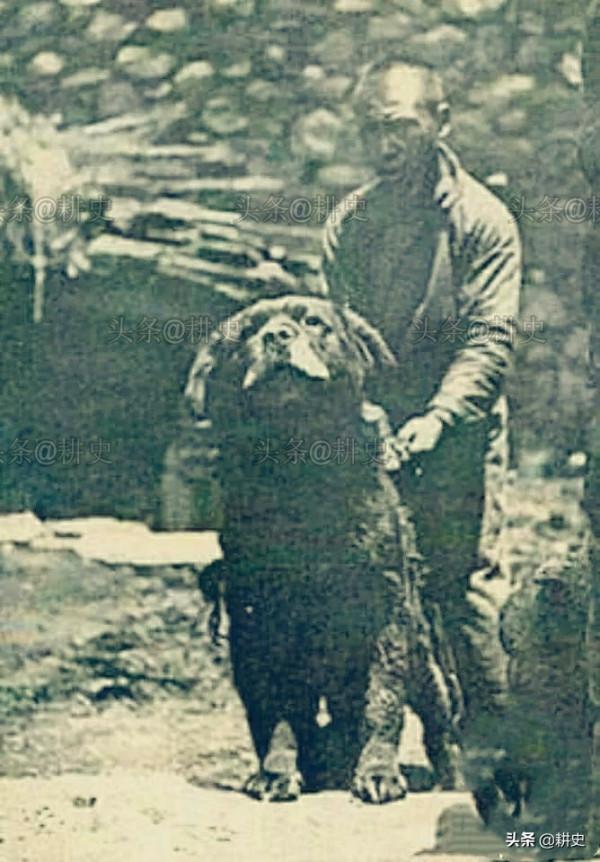 23張罕見照：慈禧坐兒媳婦中間，貴婦酷似女明星，日軍推倒國父像