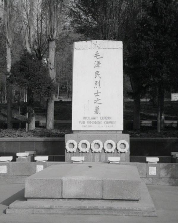 75年中央派人到新疆慰問，毛主席囑託：請放一束野花到我弟弟墓前