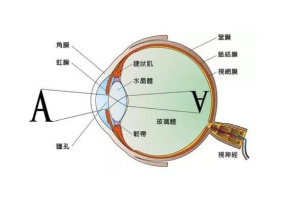 手機有必要開120hz嗎?看完這篇文章,你就知道該怎麼做了 手機有必要開120hz嗎?看完這篇文章,你就知道該怎麼做了