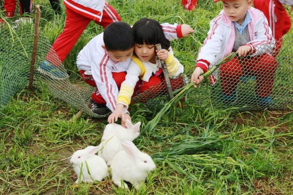 8畝地建小動物農場僅憑2招變網紅打卡地，門票20餵動物10元，啥樣