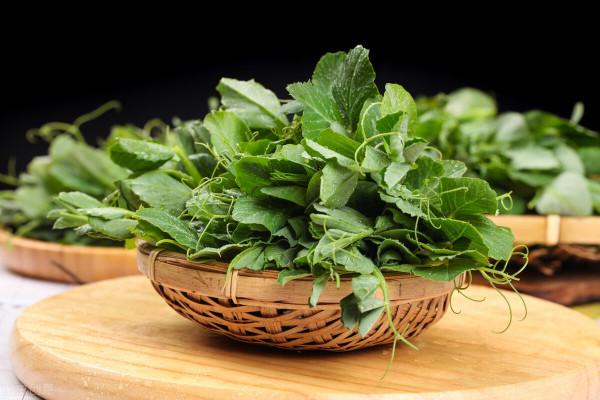 瘦子每天吃很多蔬菜,會影響瘦人增肥長胖嗎? 瘦子每天吃很多蔬菜,會影響瘦人增肥長胖嗎?