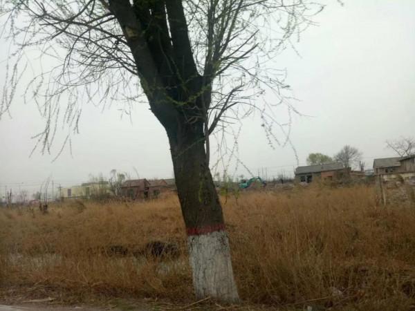 山西加油,姐姐別哭,一切都會好的 山西加油,姐姐別哭,一切都會好的