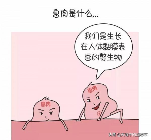 息肉？送你四味中藥，化瘀散結，一路收，一路散，一路瀉