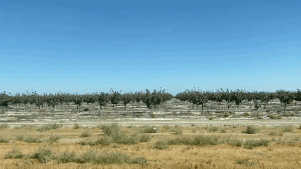 在紐約住了一年半，我才知道《慾望都市》裡的穿搭都是騙人的