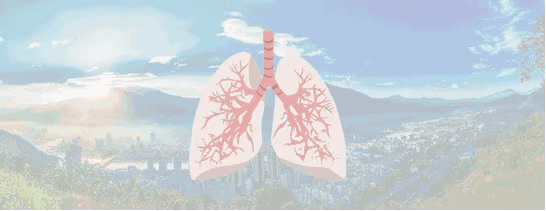 冬日健身計劃——小心保護好自己的身體 冬日健身計劃——小心保護好自己的身體