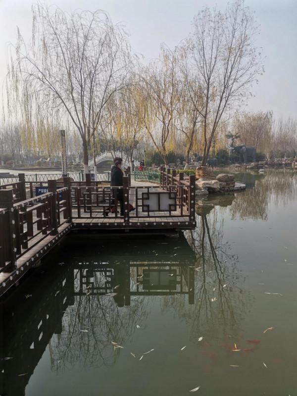 公園湖畔，景色宜人