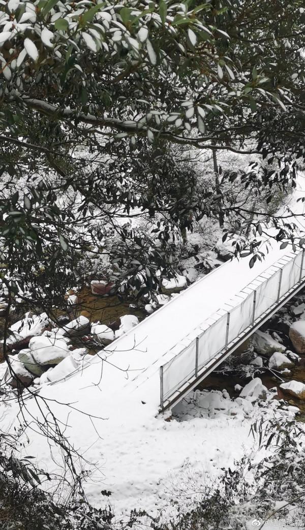 一起賞雪呀 | 今冬福建的初雪可能就要來啦！