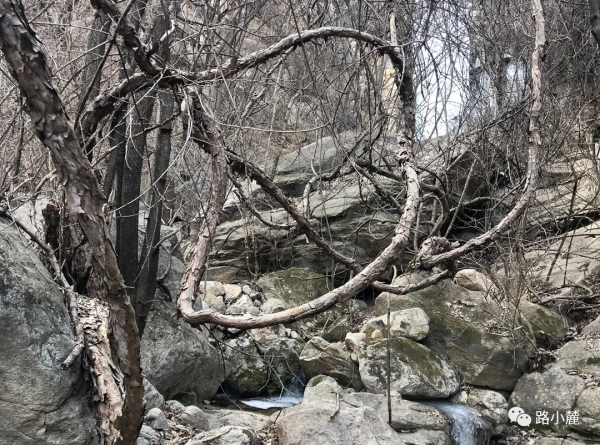 京郊遛娃記｜勇闖無人冰瀑仙境