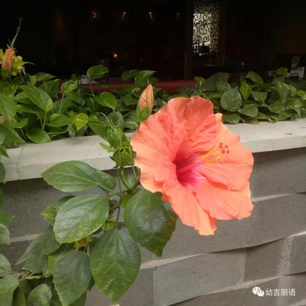 巴厘島旅遊之聽導遊講巴厘島 巴厘島旅遊之聽導遊講巴厘島