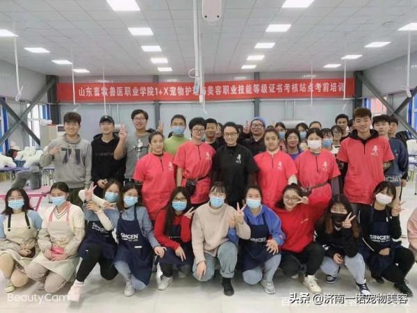 想學寵物美容、選擇寵物美容師培訓學校的幾個忠告