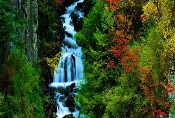 山西一景區走紅,森林覆蓋率達百分之86,素有“天然氧吧”之稱 山西一景區走紅,森林覆蓋率達百分之86,素有“天然氧吧”之稱