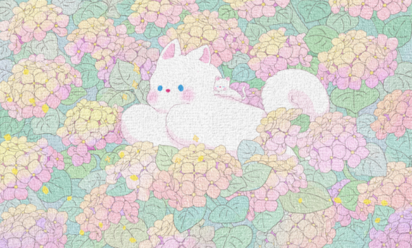 十一月，運氣很好的TOP5星座