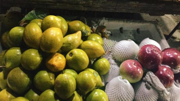 一個人來北海看海了 一個人來北海看海了