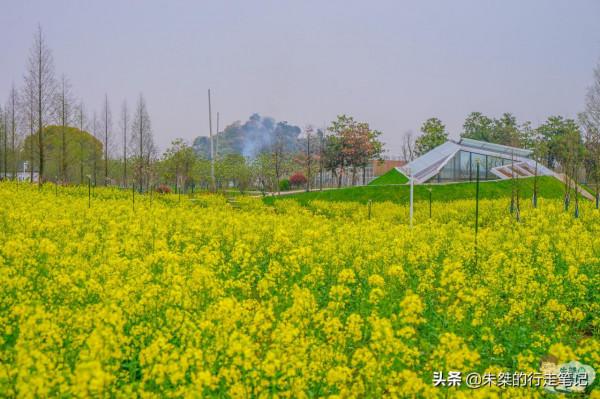 打卡國內幾處絕美的賞秋勝地，品味“人間最美是清秋！”