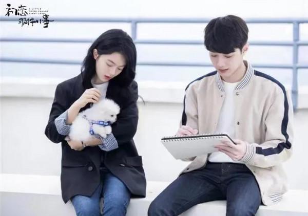 推薦超好看的校園劇，校園劇的天花板