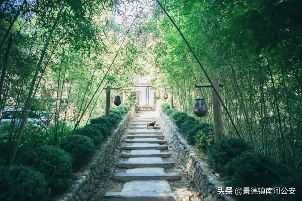 詩詞｜袁枚很有哲理的一首詩，語言清麗，影響後世二百年