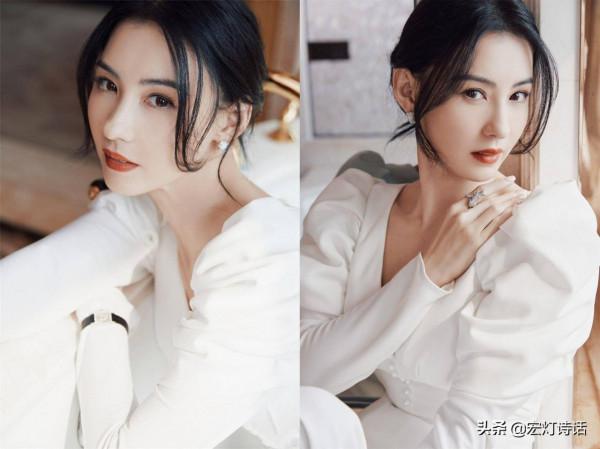 張柏芝：感君松柏化己心 閒話風雲歌玉芝