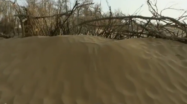 沙漠有救了!胡八一真人版穿越死亡沙海,找到沙漠終極與治沙魔方 沙漠有救了!胡八一真人版穿越死亡沙海,找到沙漠終極與治沙魔方