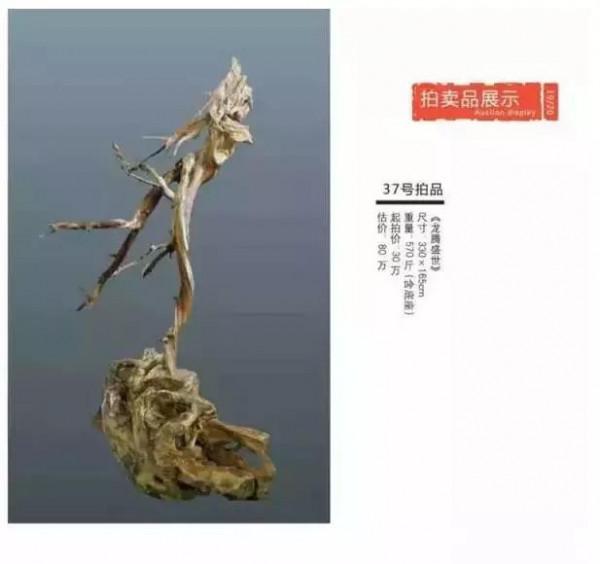 價值3000000元的極品崖柏根雕，到底長啥樣？