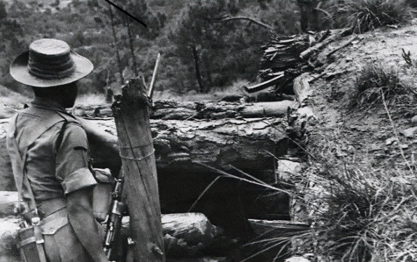 解放軍犧牲200擊潰上萬，印軍旅長回憶戰役：我們被打成驚弓之鳥