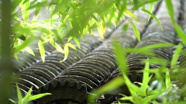 走，一起穿越時光！看看掩藏在繁華光景裡的百年老宅