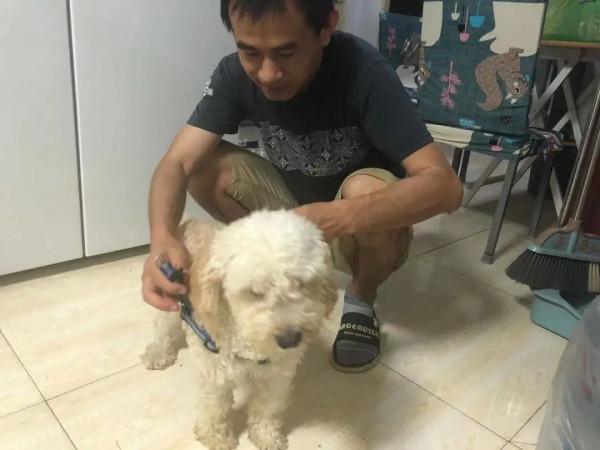 那群逃離“北上廣”去鶴崗買房的人現在怎麼樣了 那群逃離“北上廣”去鶴崗買房的人現在怎麼樣了