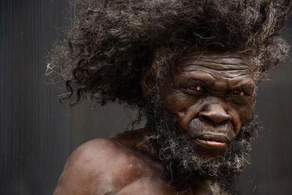 史前人類處於食物鏈頂端？科學家發現，古人類曾是馬刀齒貓的主食