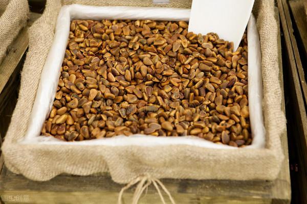 小小的松子，美味酥香之外，還有人間疾苦和大自然的魅力