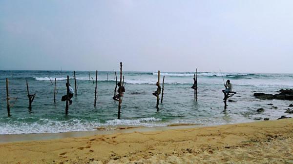 斯里蘭卡之旅（22）在科格勒(Koggala )體驗高蹺釣魚