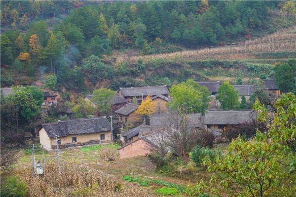 相傳神農架出現驢頭狼，偷吃家畜，傷害村民，它到底是什麼物種？