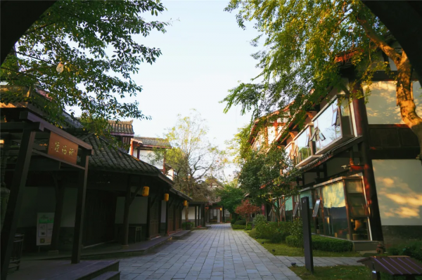 心旅禪行丨暖陽相伴，尋覓禪意中的“一抹紅”