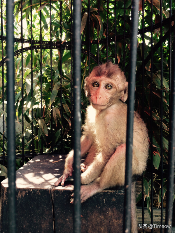 懷舊·曾服役3年的iPhone 5s 懷舊·曾服役3年的iPhone 5s