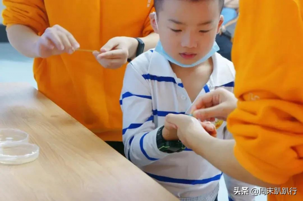 親子打卡!科學探索,細菌好有趣啊,參觀1000+件標本 親子打卡!科學探索,細菌好有趣啊,參觀1000+件標本