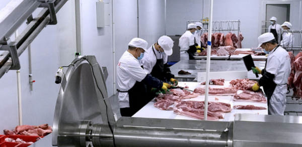 為什麼美國豬肉賣得如此便宜？看看美國人的殺豬流程就明白了