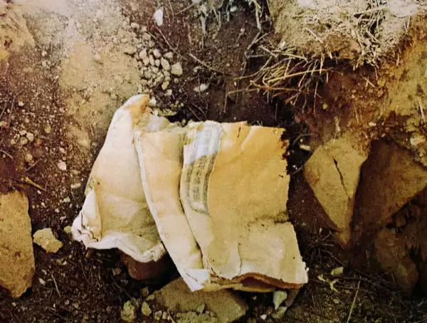 失傳已久的西夏文字,被人工智慧“破譯”,輸入法大同小異 失傳已久的西夏文字,被人工智慧“破譯”,輸入法大同小異