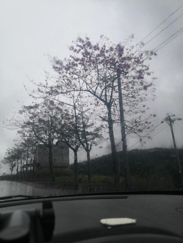 秋萍退休後一人一車自駕遊第62天