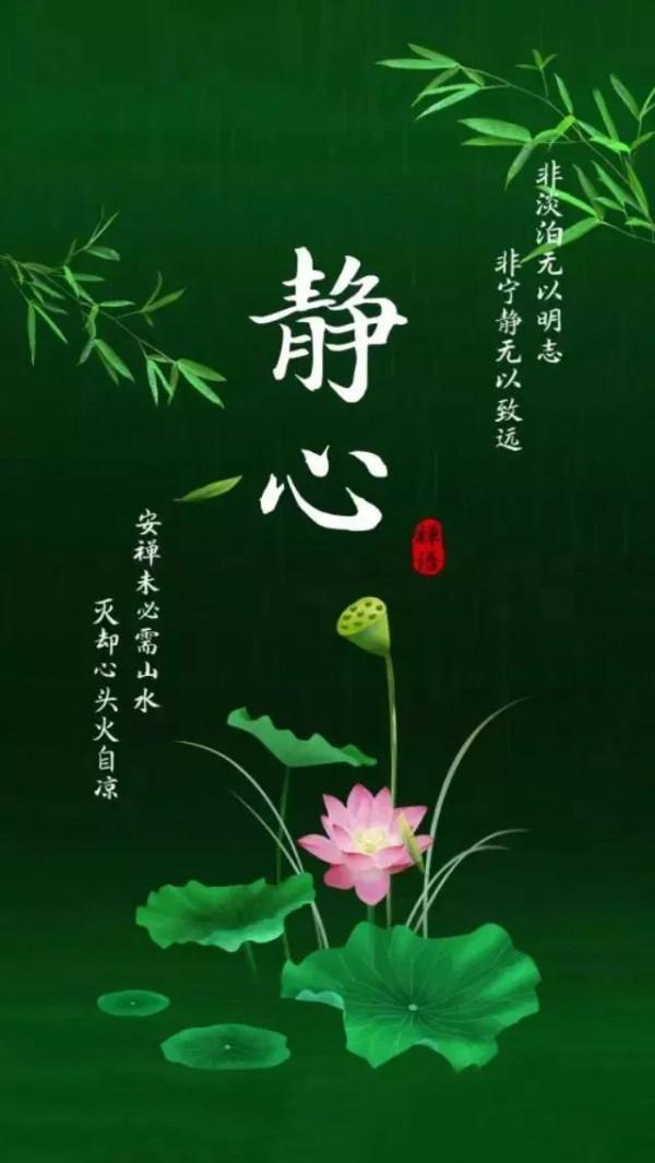 老年朋友，如條件（含疫情）允許，建議出去玩玩（我是老年人）