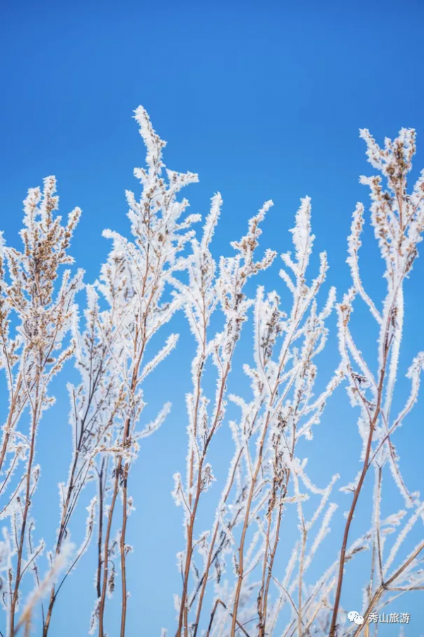 川河蓋又雙叒叕下雪了