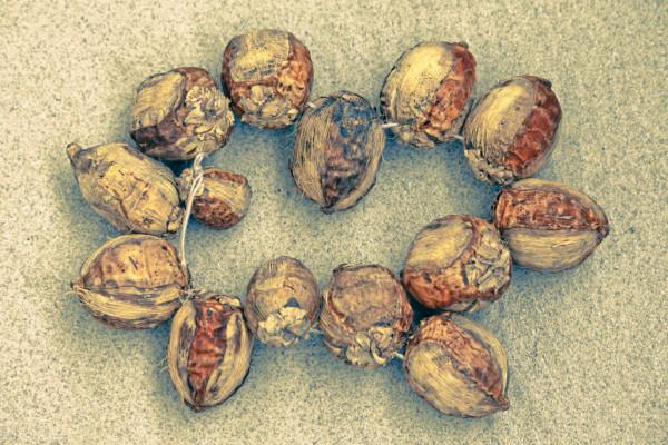 可樂、檳榔、煙、酒哪個毒害性比較大？