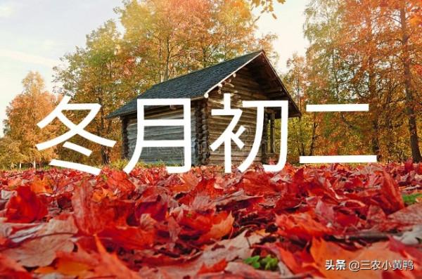 “冬月初二晴,無被也過冬”啥意思?今天冬月初二,晴天啥預兆? “冬月初二晴,無被也過冬”啥意思?今天冬月初二,晴天啥預兆?