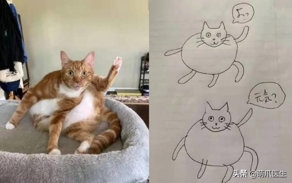 看了我太太太爺爺畫的貓後…網友:同一個物種 看了我太太太爺爺畫的貓後…網友:同一個物種