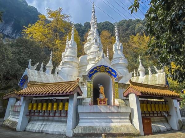 開車2小時也要來的成都古寺銀杏，不要門票很良心，每年只火七天