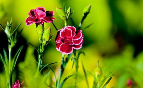 中年之後,4個星座,一步一個腳印打拼,總能扭轉敗局 中年之後,4個星座,一步一個腳印打拼,總能扭轉敗局