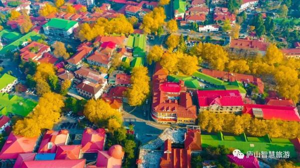 一聲梧葉一聲秋，廬山開啟七彩秋色模式