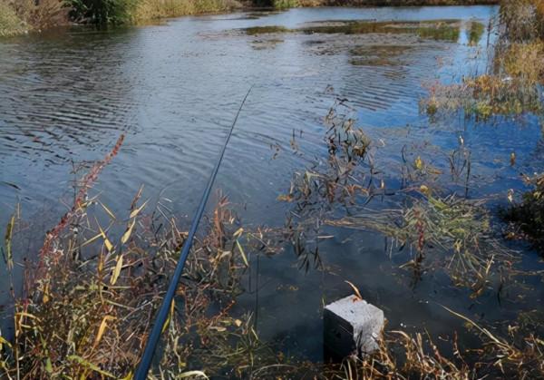 釣魚隨記-野釣大板鯽你準備好了嗎？
